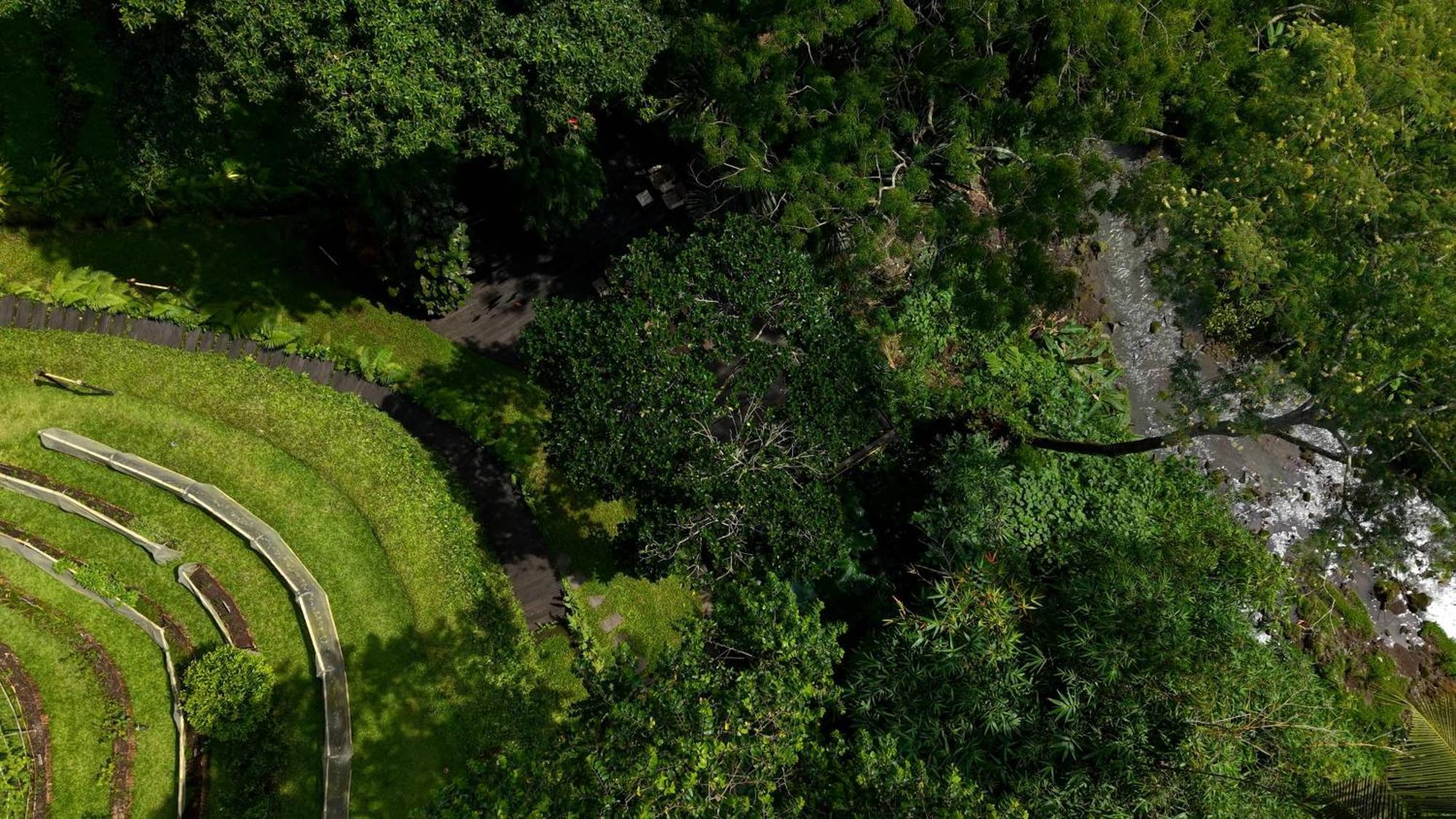 Sumeru Botanical Estate By Lead Luxury Ubud  Luaran gambar