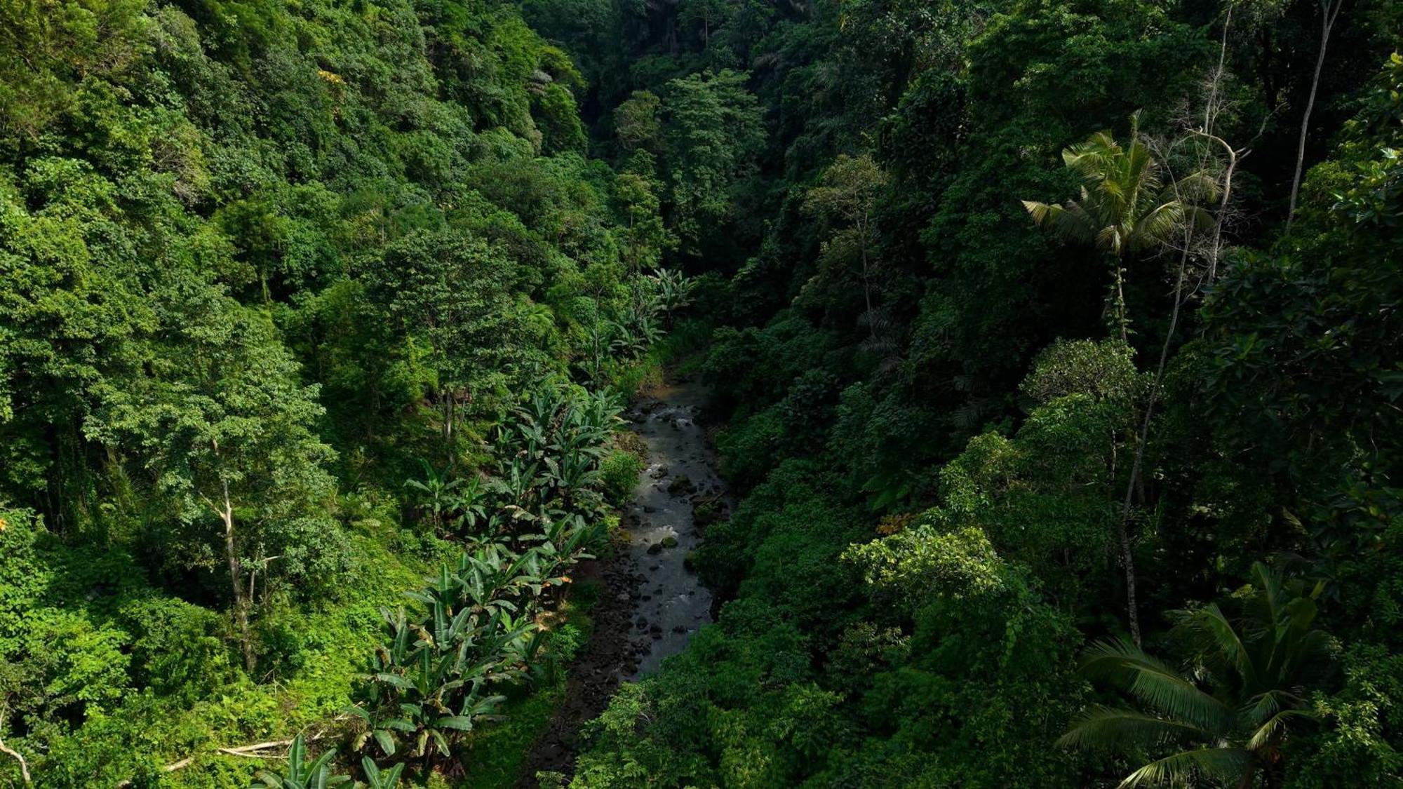 Sumeru Botanical Estate By Lead Luxury Ubud  Luaran gambar