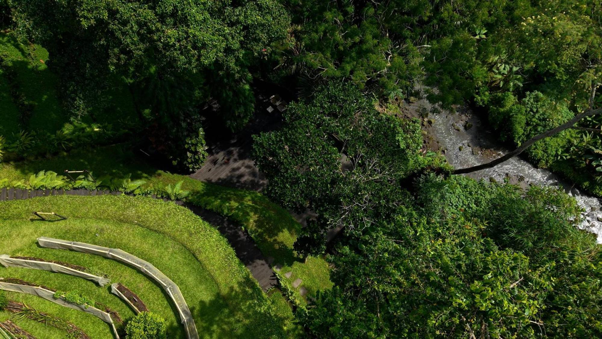 Sumeru Botanical Estate By Lead Luxury Ubud  Luaran gambar