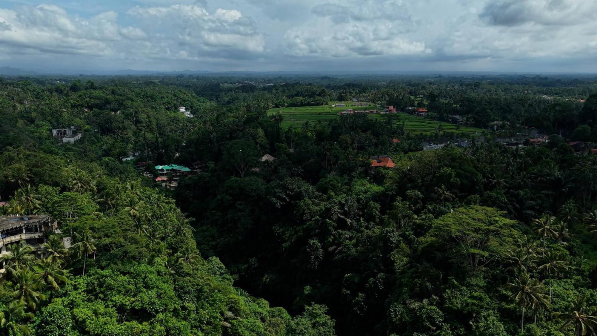Sumeru Botanical Estate By Lead Luxury Ubud  Luaran gambar